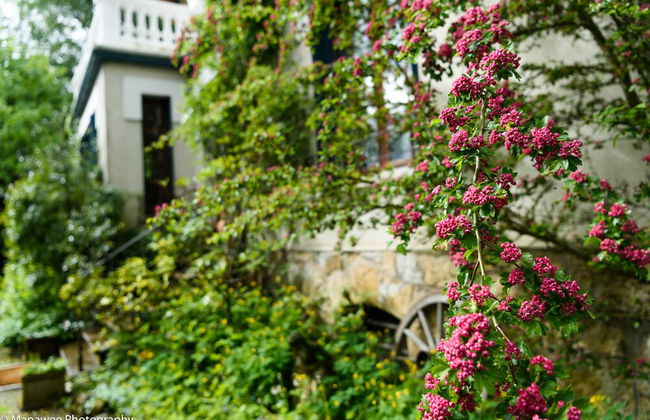 Villa Ariane - Photo 31