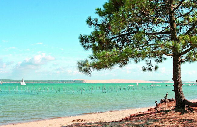VVF Lège Cap Ferret, Claouey - Foto 63