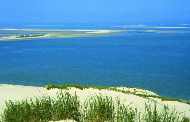 VVF Lège Cap Ferret, Claouey - Foto 40