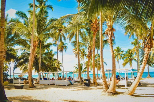 Photo 17 - Beauty Orquidea 2bed Apartment in El Cortecito Playa Bavaro