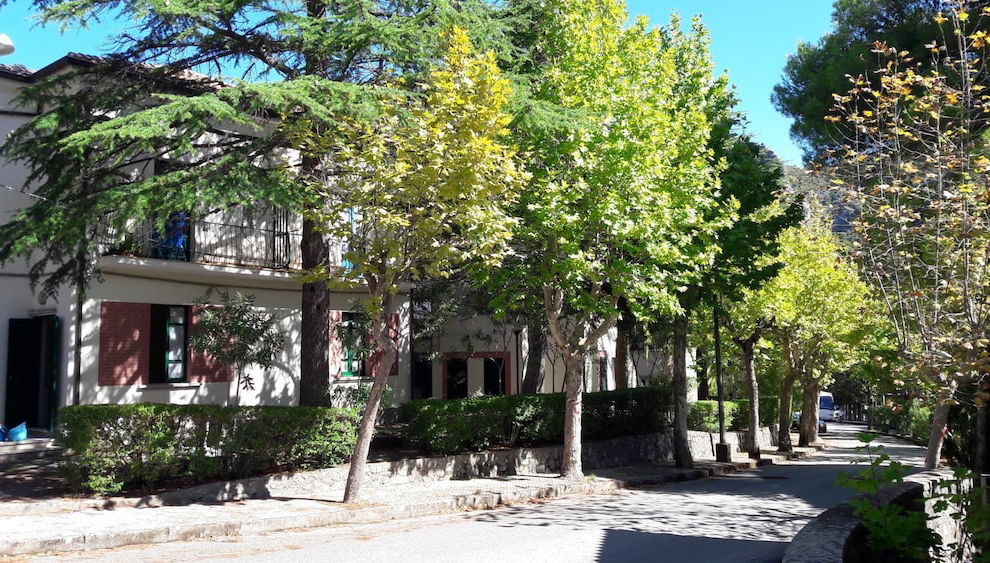 Imagem principal