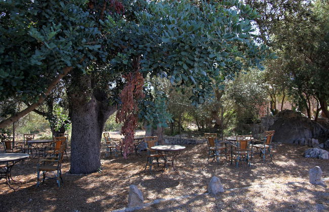 Ca's Garriguer Agroturismo - Foto 39