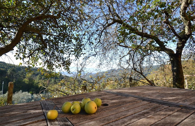 Holiday Home in Pescia With Swimming Pool - Foto 27