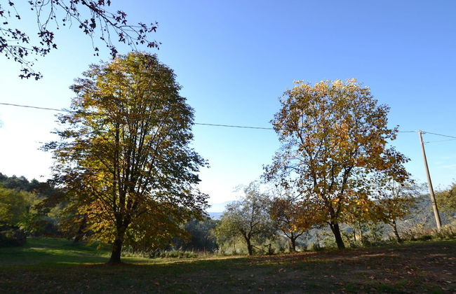 Holiday Home in Pescia With Swimming Pool - Foto 28