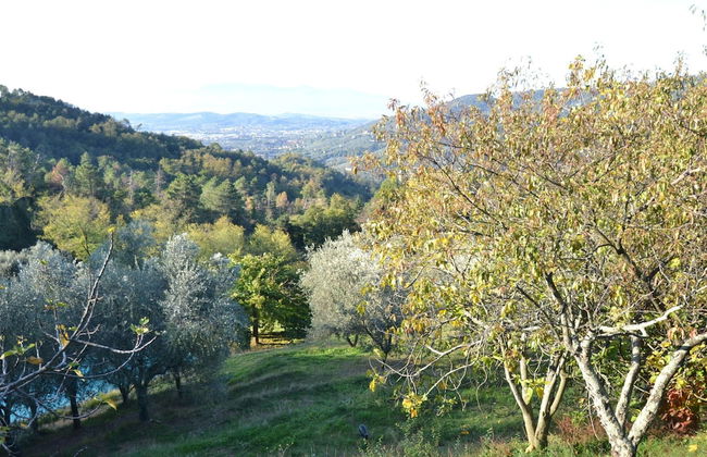Holiday Home in Pescia With Swimming Pool - Foto 35