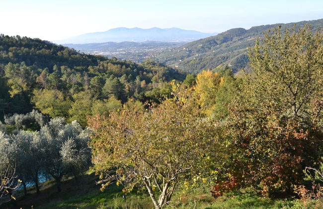 Holiday Home in Pescia With Swimming Pool - Foto 38