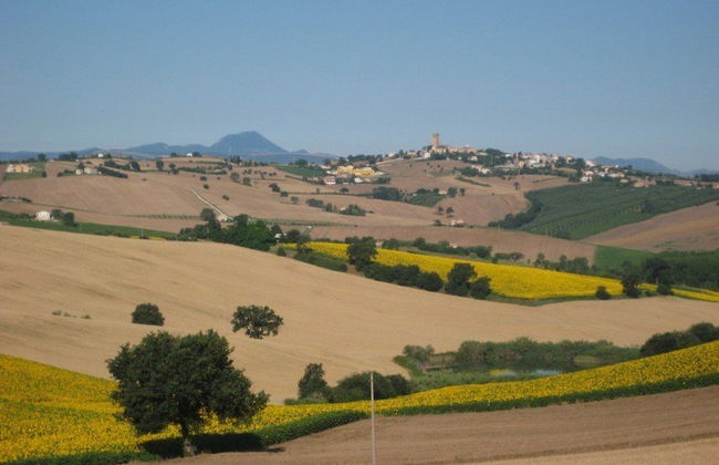 I Tre Filari - Foto 35