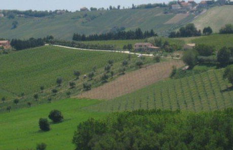 I Tre Filari - Foto 36