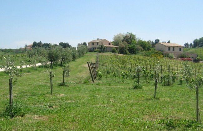 I Tre Filari - Foto 28