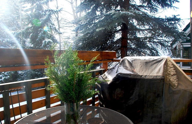 Sagewood Condos by iTrip Aspen Snowmass - Photo 15