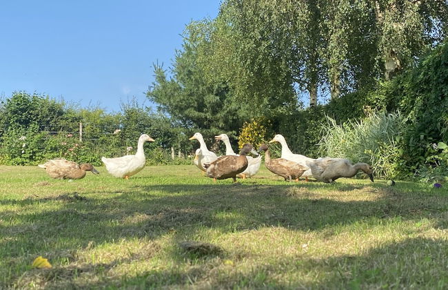 A Serene and Tranquil Escape for two - Foto 17