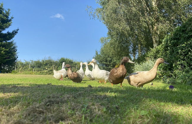 A Serene and Tranquil Escape for two - Foto 16