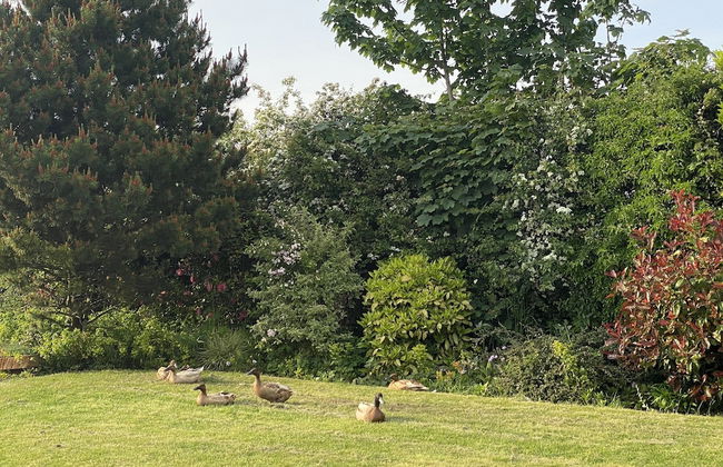 A Serene and Tranquil Escape for two - Foto 19