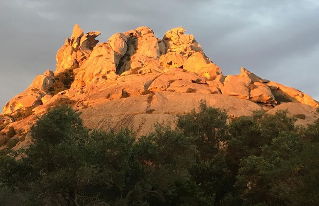 Agriturismo Monti di Jogliu - Foto 97