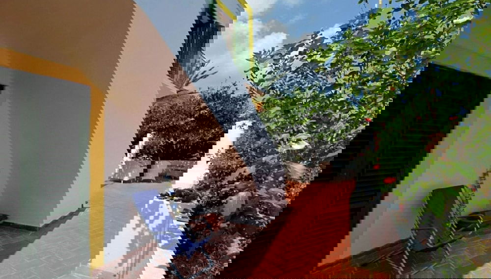 Imagem principal