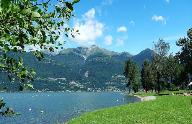 Calla - Photo 29