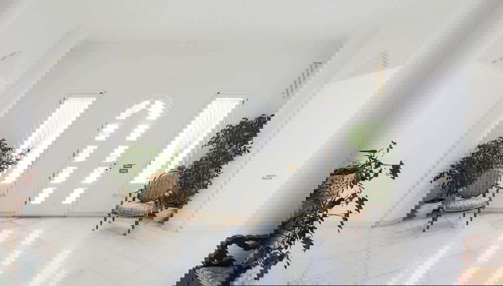 Imagem principal