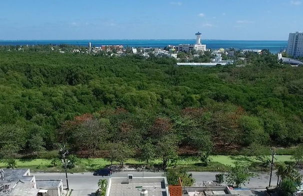 Bahari Cancun - Adults Only - Foto 36