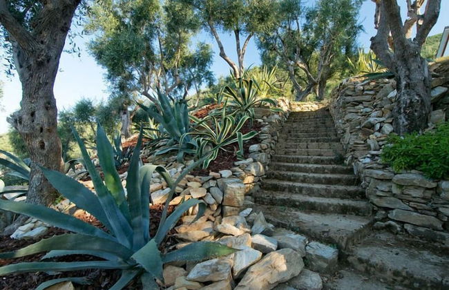Villa Oliveta - Foto 45
