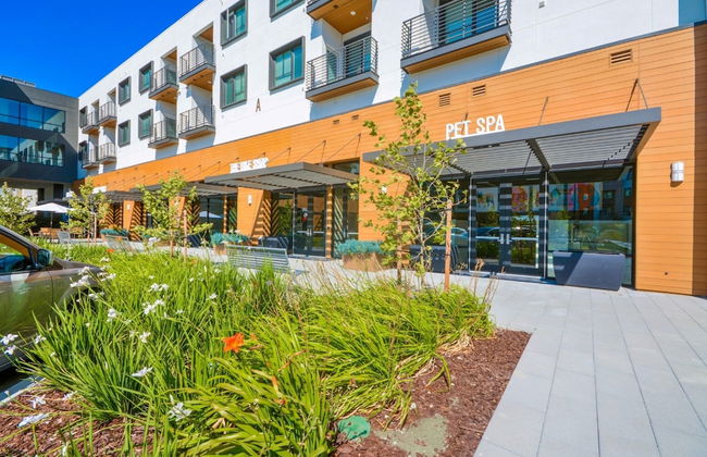 Bluebird Suites near Facebook HQ - Foto 40
