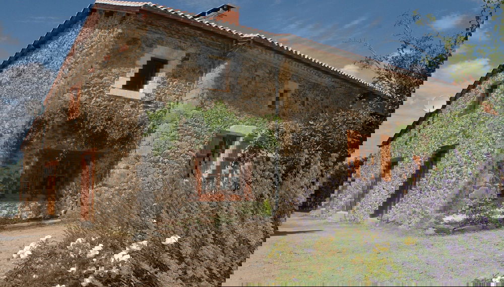 Imagem principal