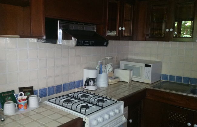 Marina Villas - Grand Isla Navidad - Photo 14
