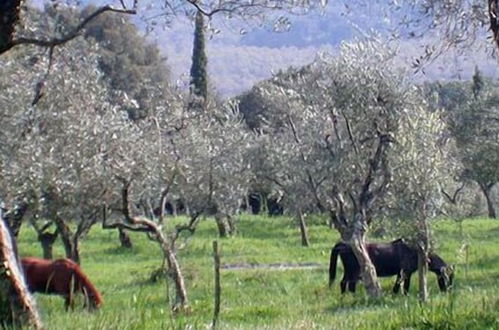 Foto 44 - Tenuta La Bandita