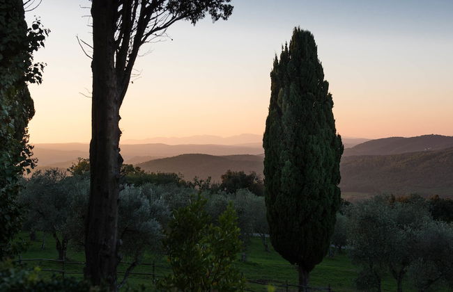 Tenuta La Bandita - Foto 54