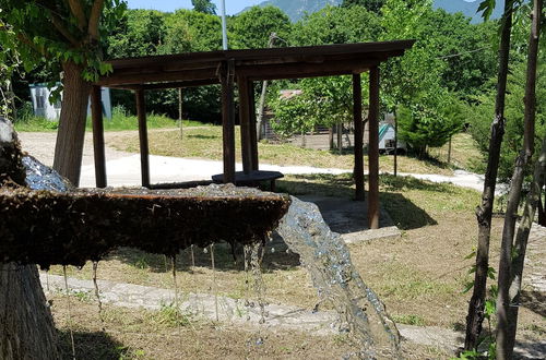 Photo 21 - Fattoria Colle dei Monaci