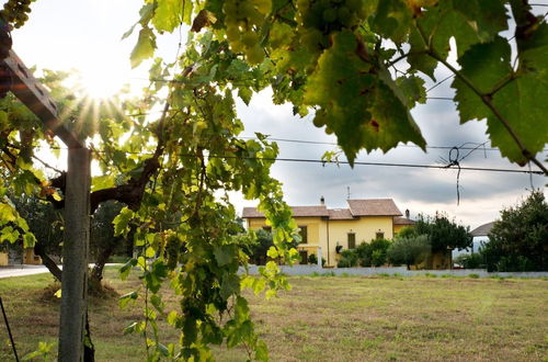 Photo 42 - Agriturismo Il Casolare Di Nonno Mario