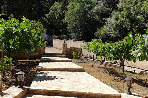 Photo 14 - Chaihoutes stone villa into Olive farm in Zia