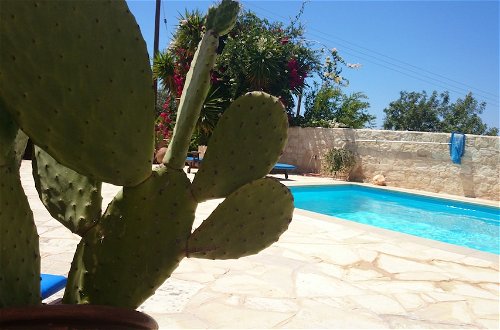 Photo 10 - Prickly Pear