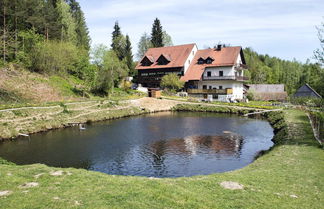 Foto 1 - Secluded Apartment in Schönsee near Forest