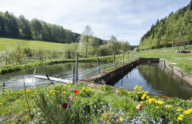 Apartment in Schonsee Near Lake Beach - Foto 32