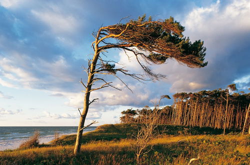 Photo 51 - Ferienwohnungen Dünenmeer