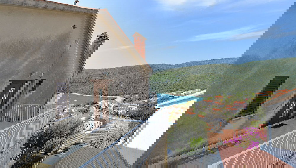 Imagem principal