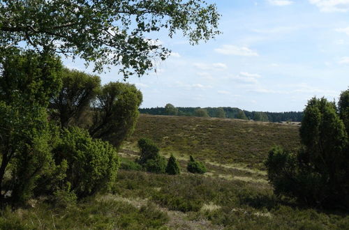 Foto 16 - Holiday Home in the Luneburg Heath