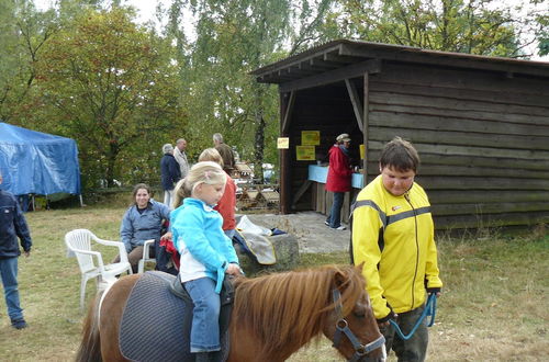 Photo 12 - Holiday Home in the Luneburg Heath