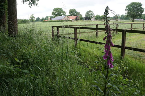 Foto 74 - Cosy Holiday Home on a Farm in Zeeland