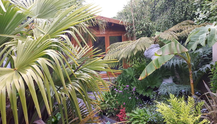 Photo 1 - Cabin set in a Beautiful Romantic Tropical Garden