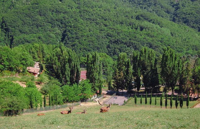 Tenuta Del Varco - Foto 35