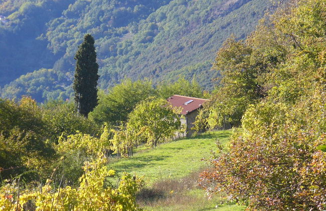 Cottage in Casoli Near Ski Slopes - Foto 16