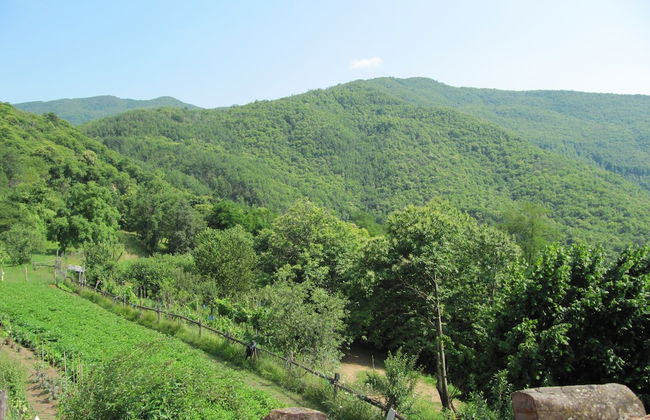 Cottage in Casoli Near Ski Slopes - Foto 20