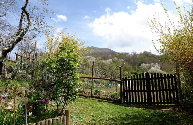 Cottage in Casoli Near Ski Slopes - Foto 15