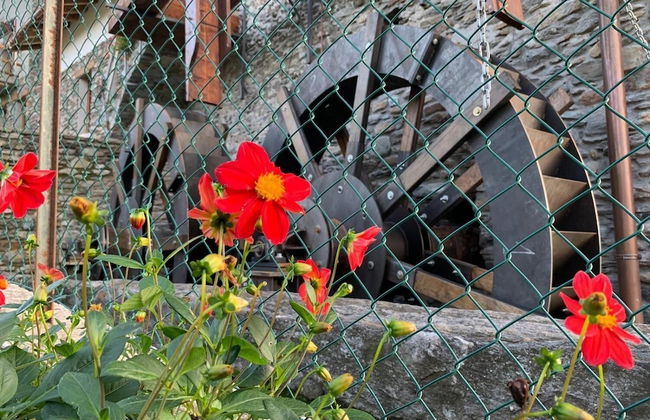 Il Granaio - Molino Maufet - Foto 17