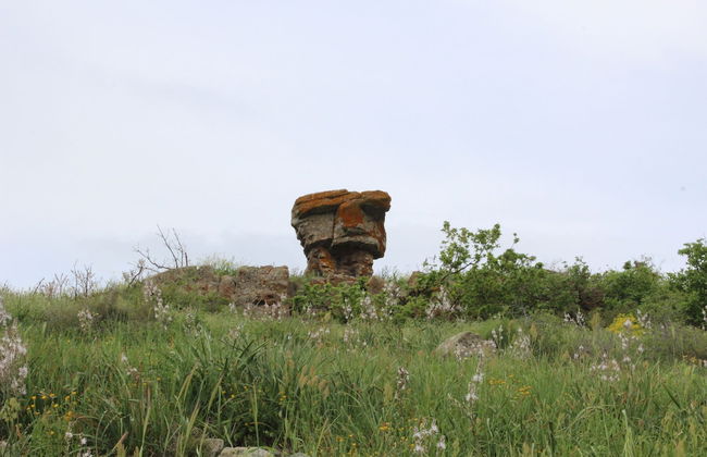 La Tinaia Country House - Foto 44