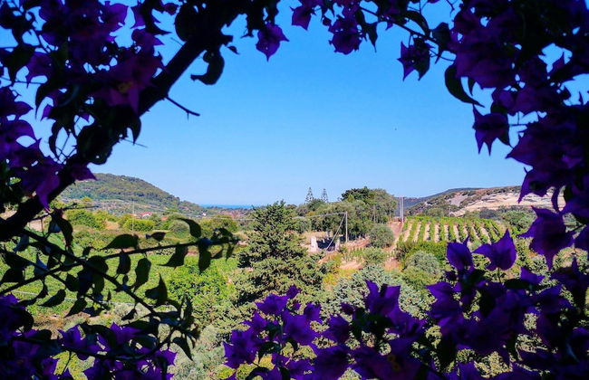 La Tinaia Country House - Foto 73