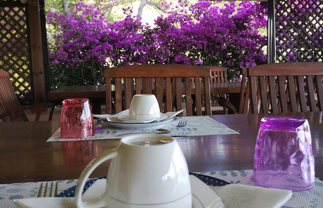 La Tinaia Country House - Foto 50