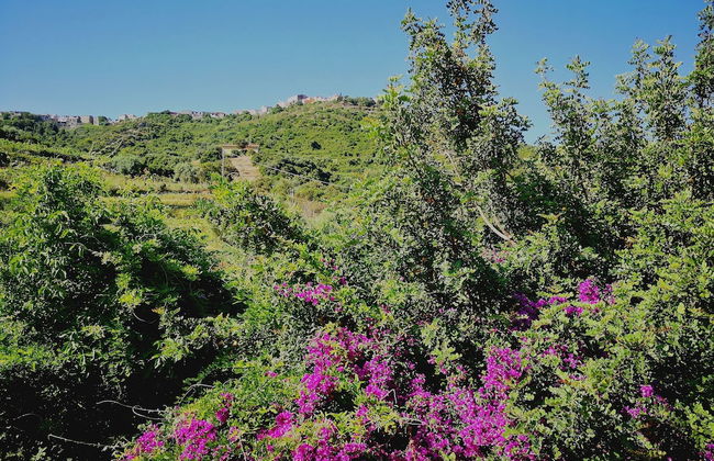 La Tinaia Country House - Foto 24