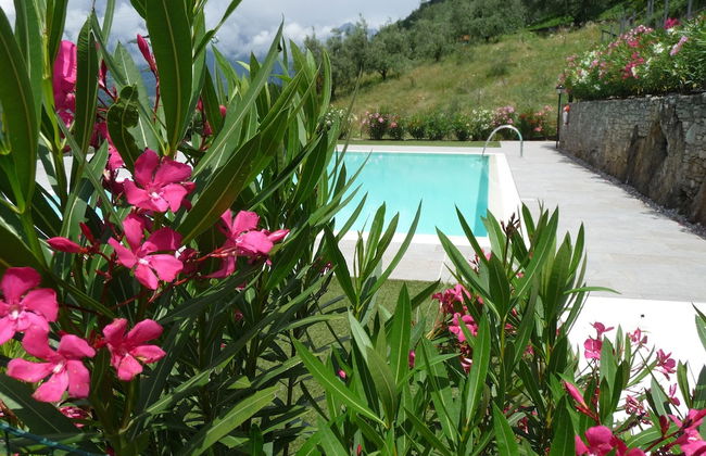 Bellavista Giulia - Photo 34